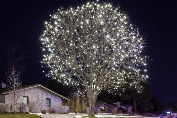 A tree adorned with white lights stands by a house at night.