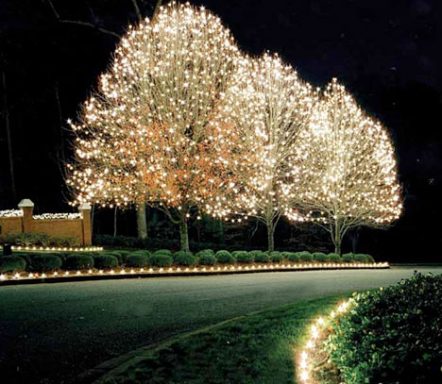Three trees adorned with bright white lights along a dark pathway.