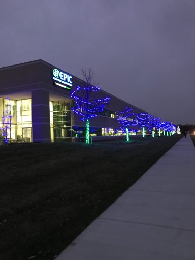 Illuminated trees line a pathway beside a modern building on an overcast evening.