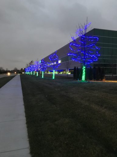 Pathway lined with trees illuminated by blue and green lights against a gray sky.