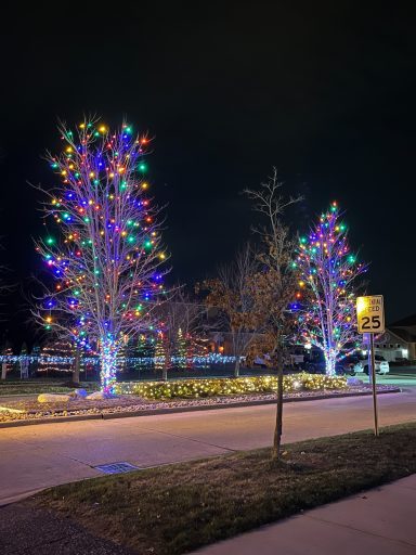 Colorful holiday lights adorn trees along a sidewalk at night.