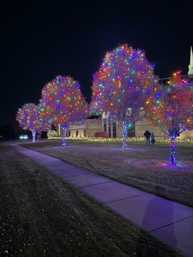 Colorfully lit trees along a path at night, creating a festive atmosphere.