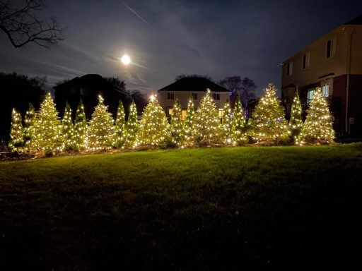 Row of decorated Christmas trees illuminated at night under a full moon.